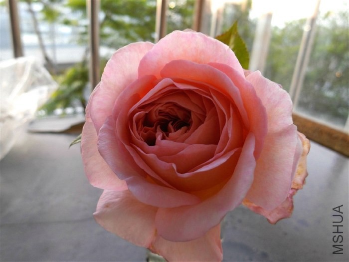 �ǲ���ʼ���ˣ���̨��ֻ�ܼ�������
