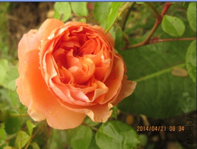 QQͼƬ20140422192354.jpg