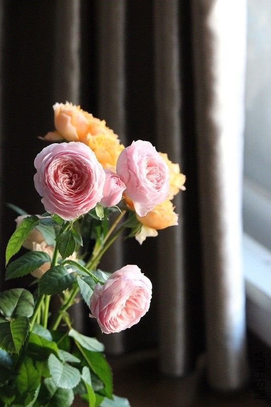 IMG_8856.JPG