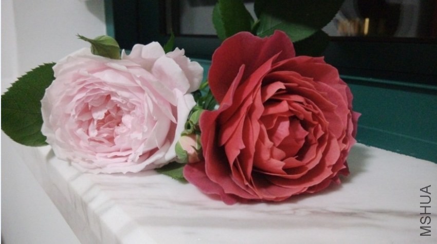 QQͼƬ20140422205719.jpg