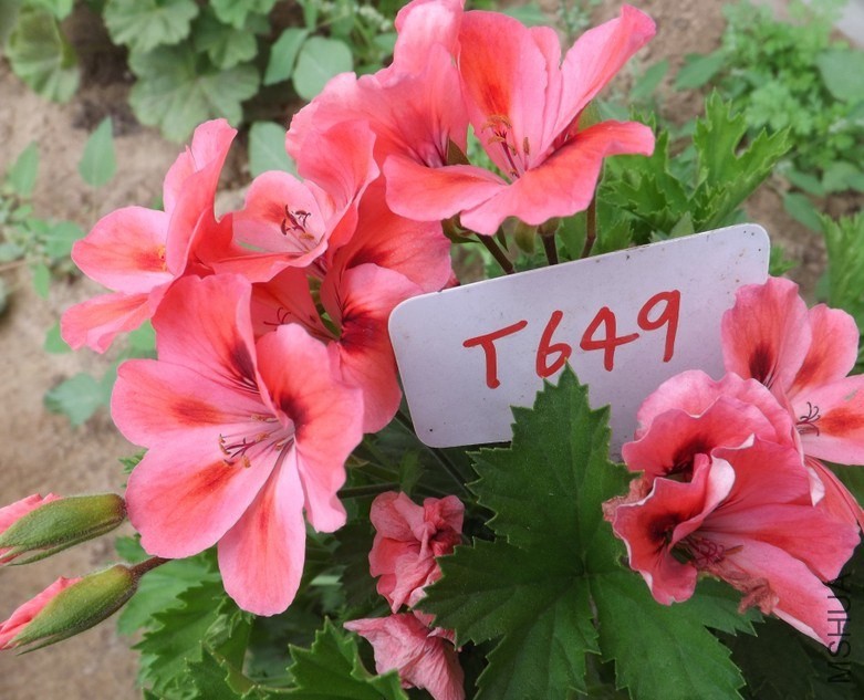 QQͼƬ20140422211631.jpg