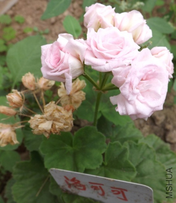QQͼƬ20140422211645.jpg
