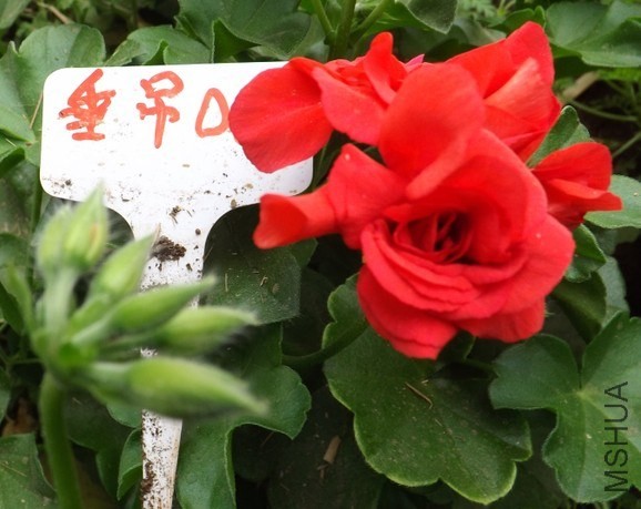 QQͼƬ20140422211723.jpg