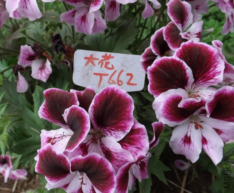 QQͼƬ20140422211735.jpg