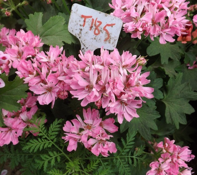 QQͼƬ20140422211754.jpg
