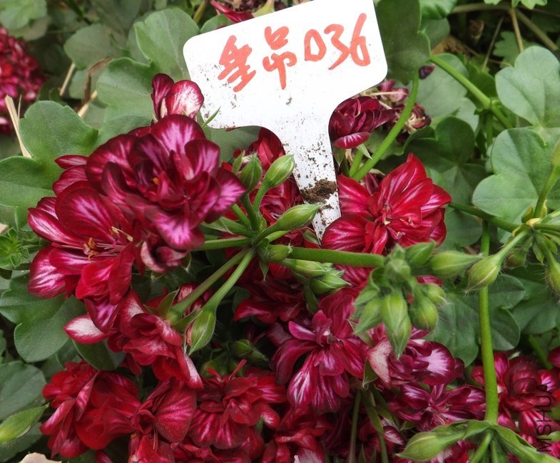 QQͼƬ20140422211824.jpg