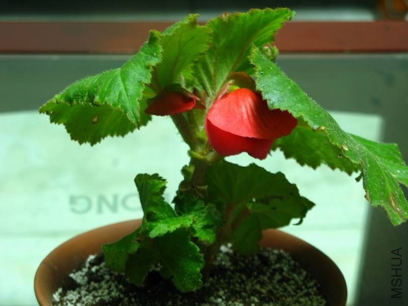 �����ݲ� 030.JPG