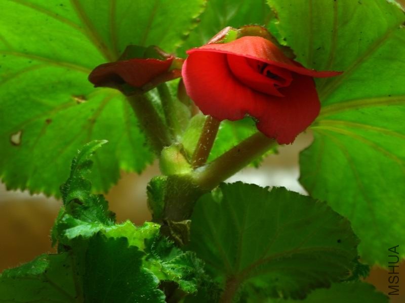 �����ݲ� 031.JPG