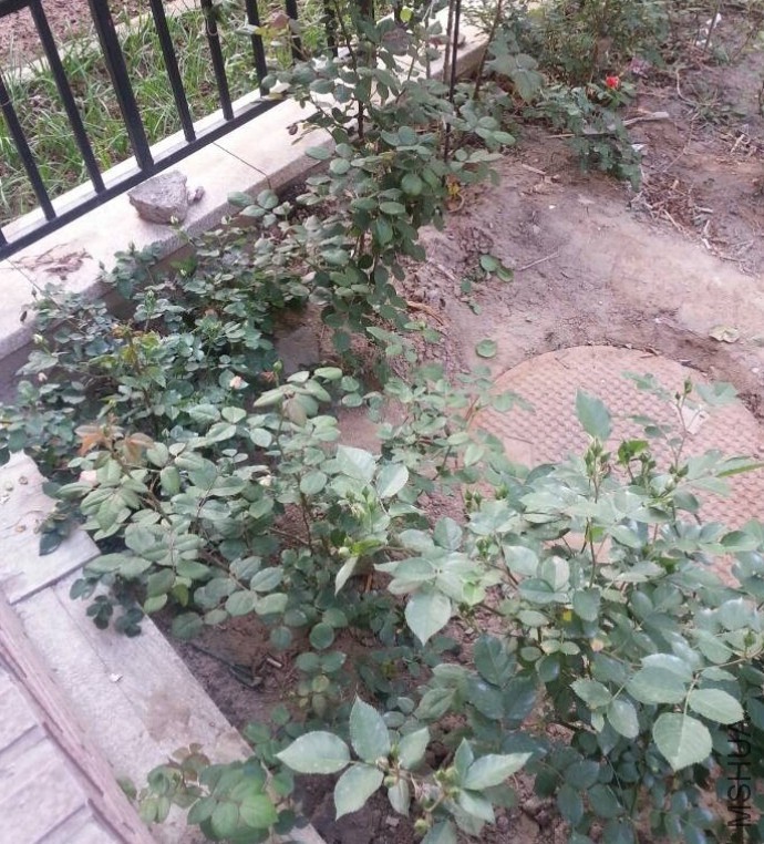 QQ��ͼ20140423085949.jpg