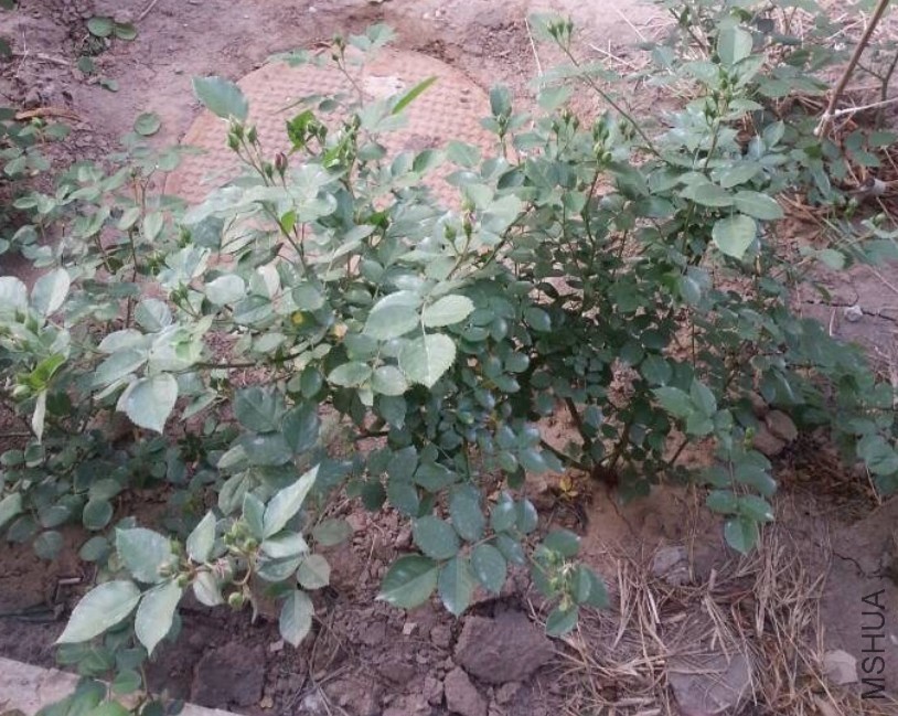 QQ��ͼ20140423090025.jpg