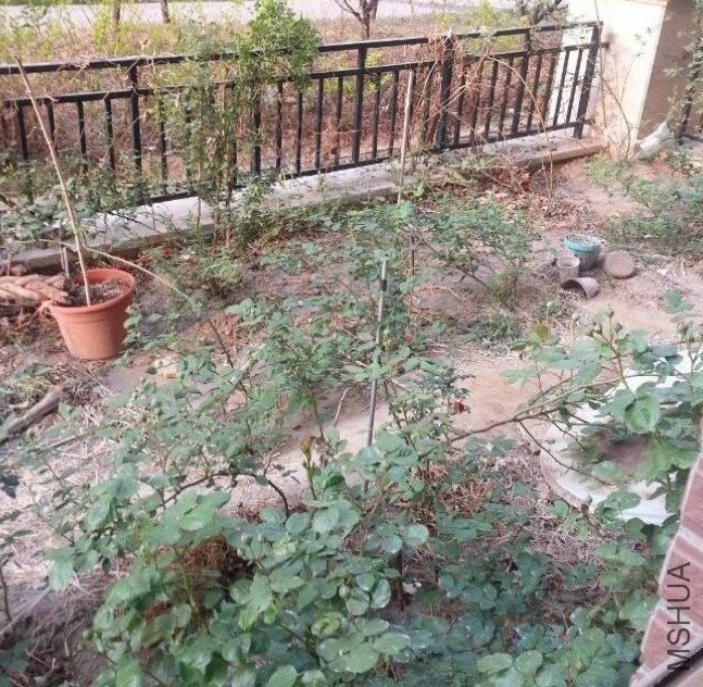 QQ��ͼ20140423090226.jpg