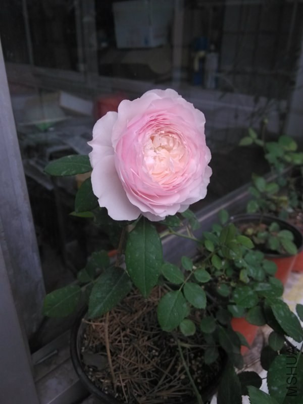 085006njgg9aj0n82j8gw9.jpg