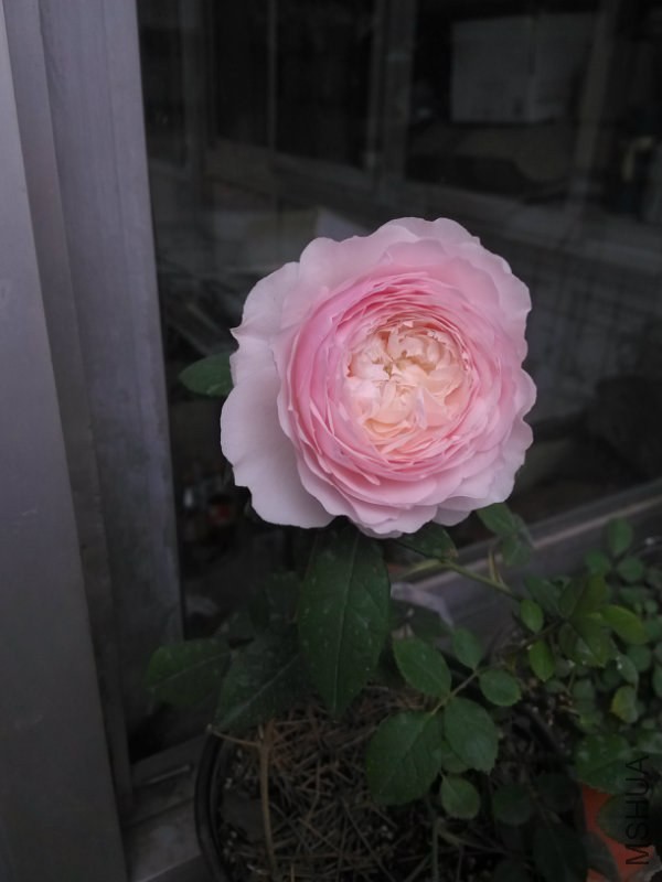 085008hle7r27ciq55aqcl.jpg