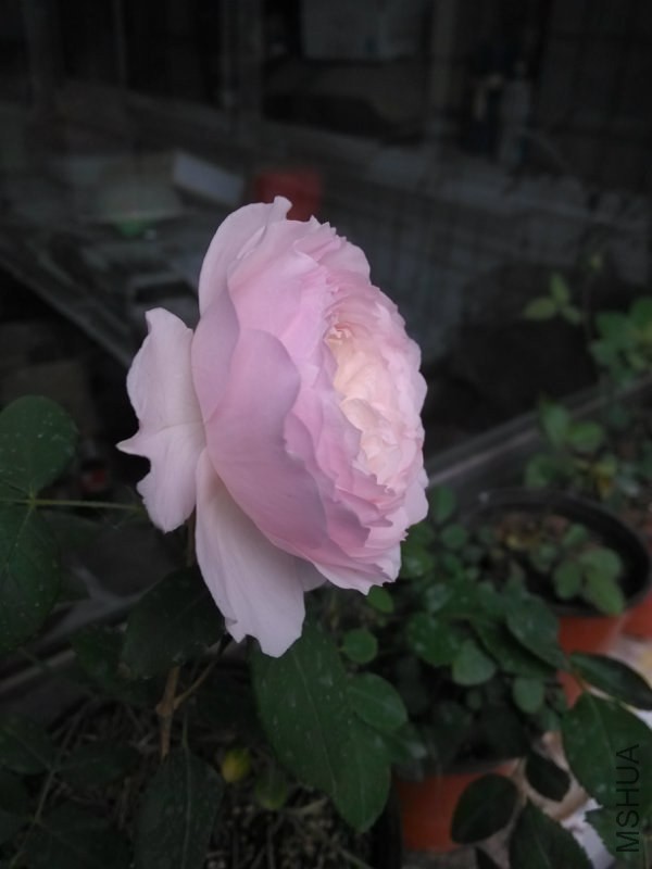 085011crqzjod1jrj140jo.jpg