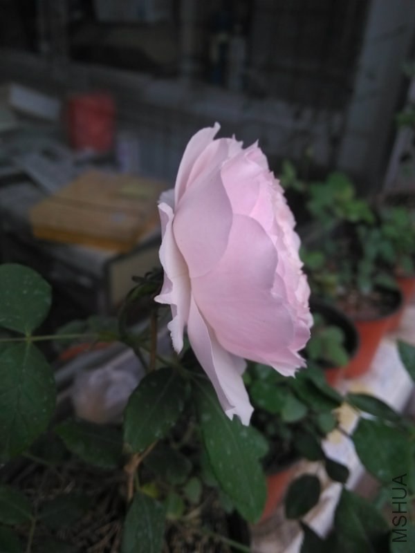 085010a1ql1jpqw223j3k3.jpg