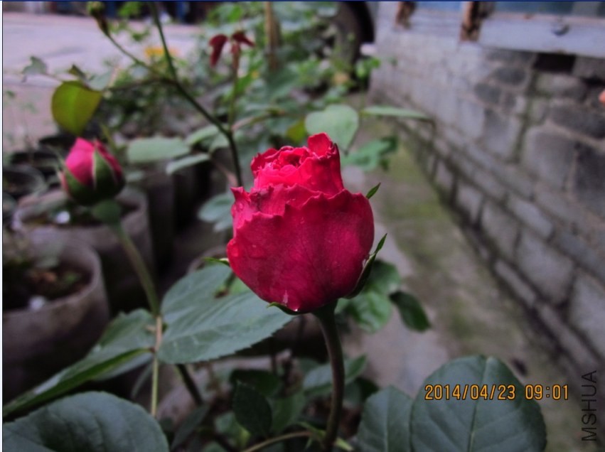 QQͼƬ20140423091041.jpg