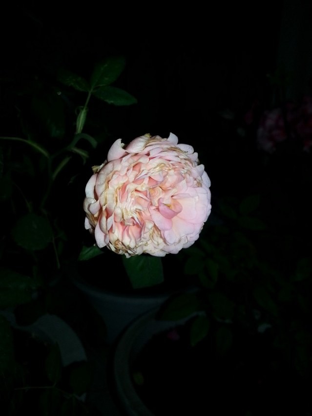 ����Ŀ���