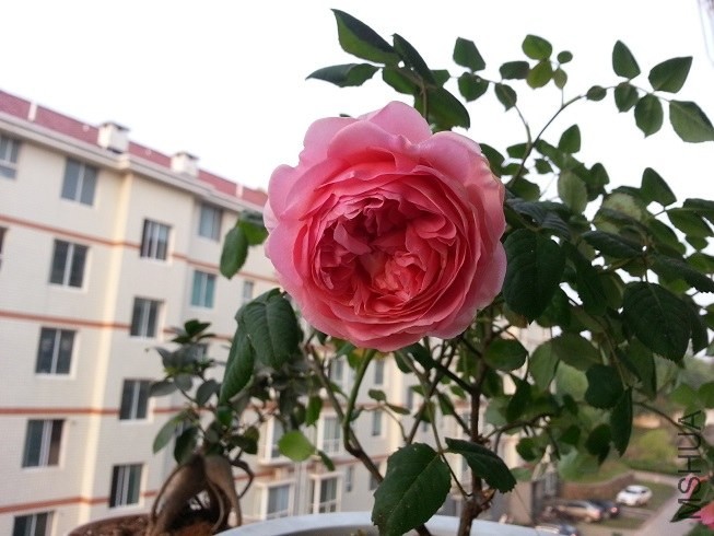 ������û�֮һ