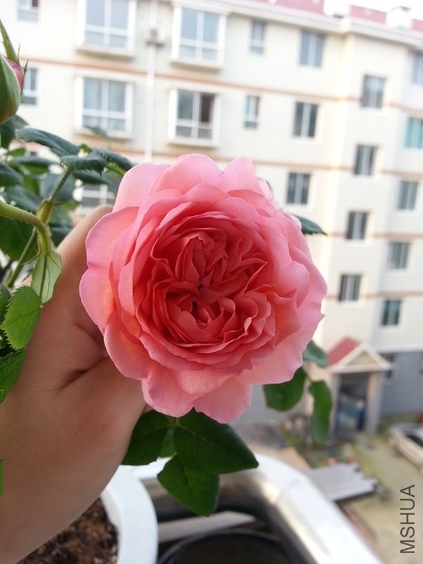 ������û�֮��