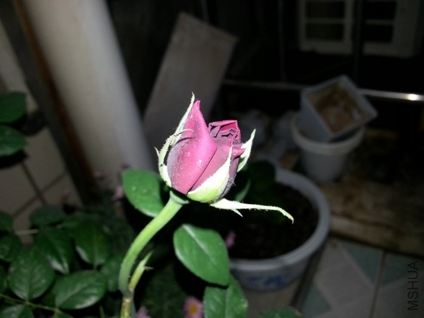 ���ߵ�����