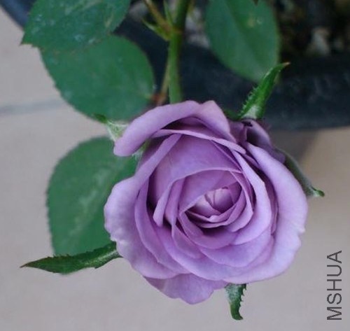 QQͼƬ20140423115223.jpg