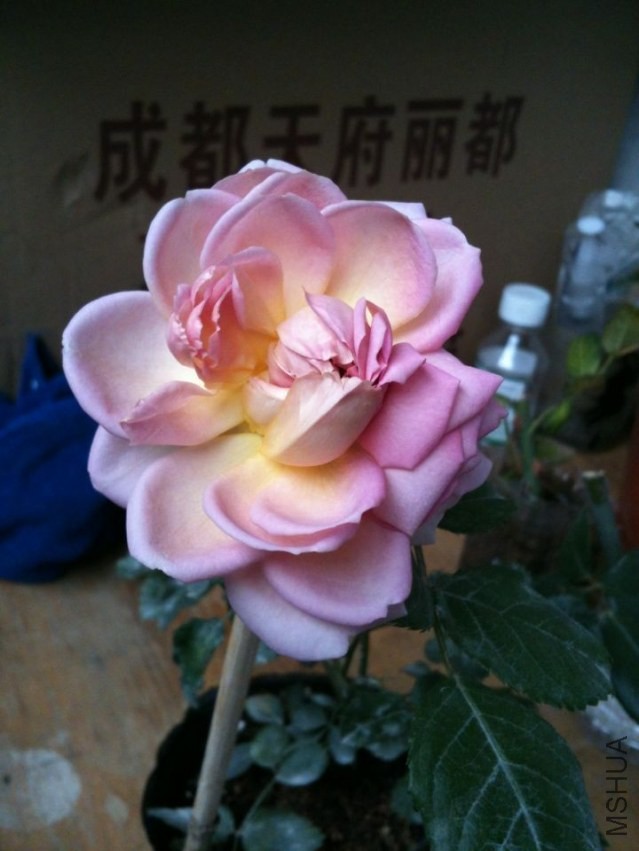 QQͼƬ20140423121009.jpg