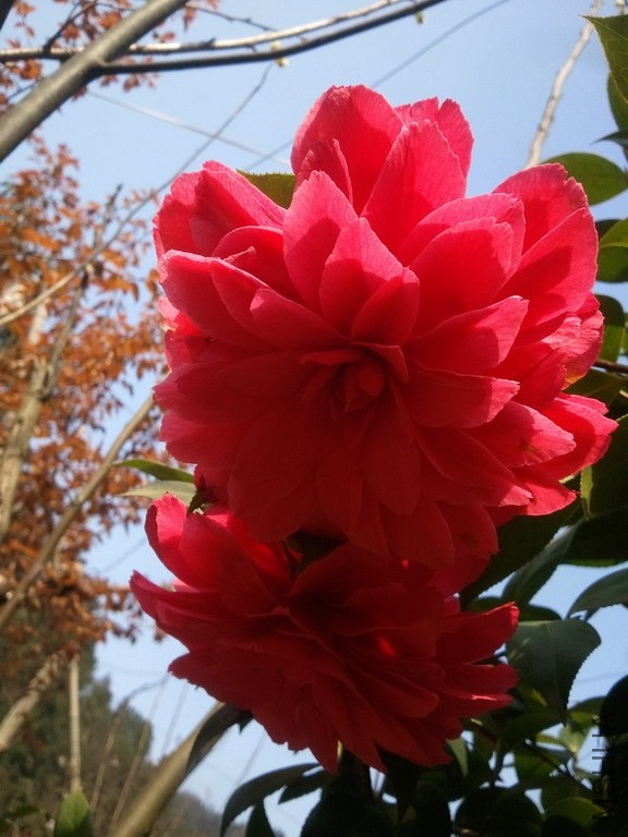 140316130208.jpg