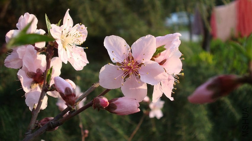 nEO_IMG_DSC04330.jpg