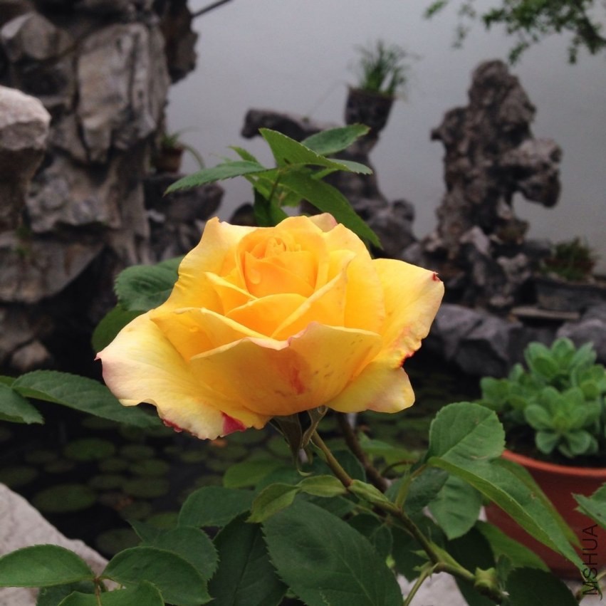 QQͼƬ20140423195221.jpg