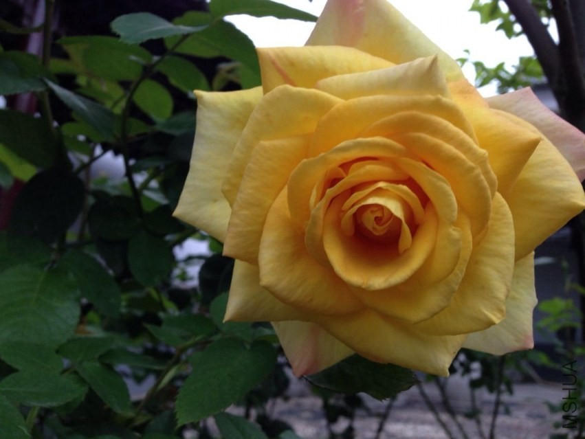 QQͼƬ20140423195225.jpg