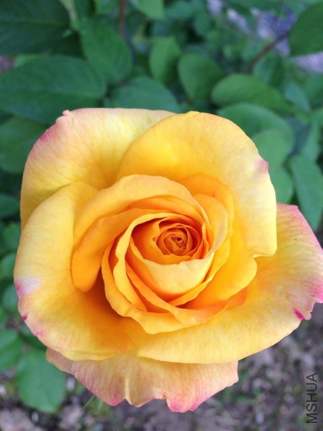 QQͼƬ20140423195242.jpg
