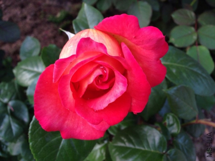 QQͼƬ20140423195148.jpg