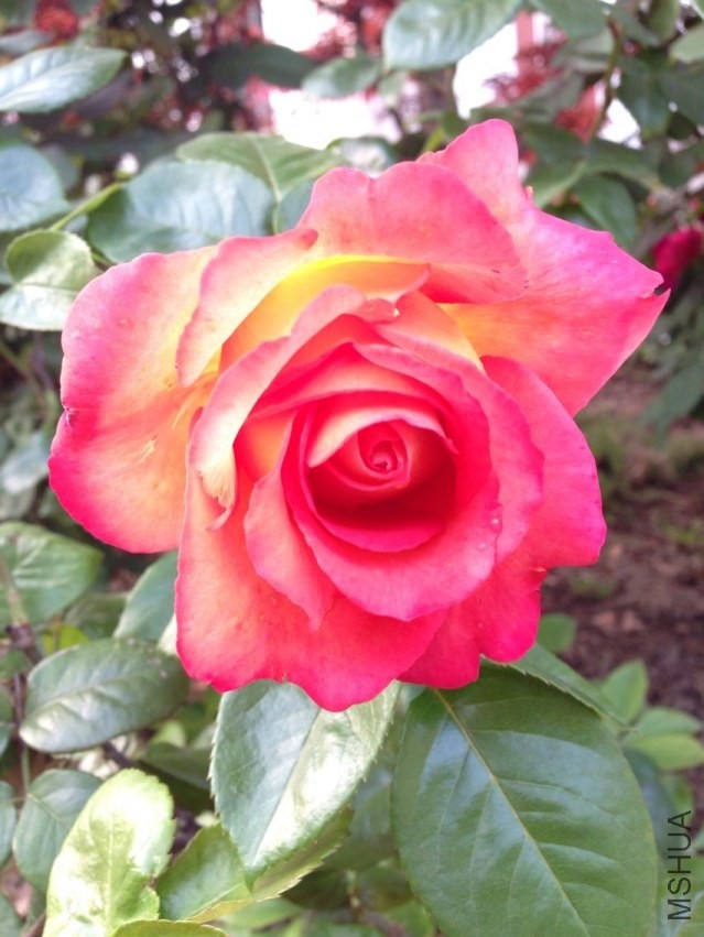 QQͼƬ20140423195211.jpg