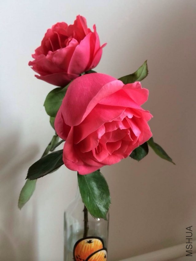 QQͼƬ20140423215726.jpg