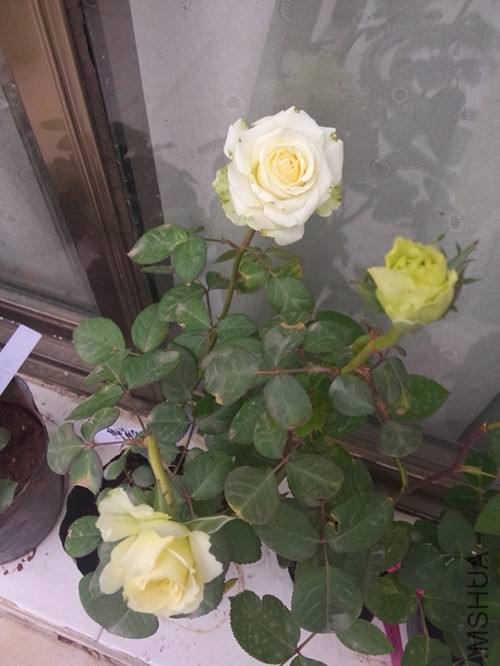 ��Ʒ�֣��۸񲻱��ˣ���֪������ÿ���
