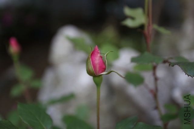 QQͼƬ20140424093542.jpg