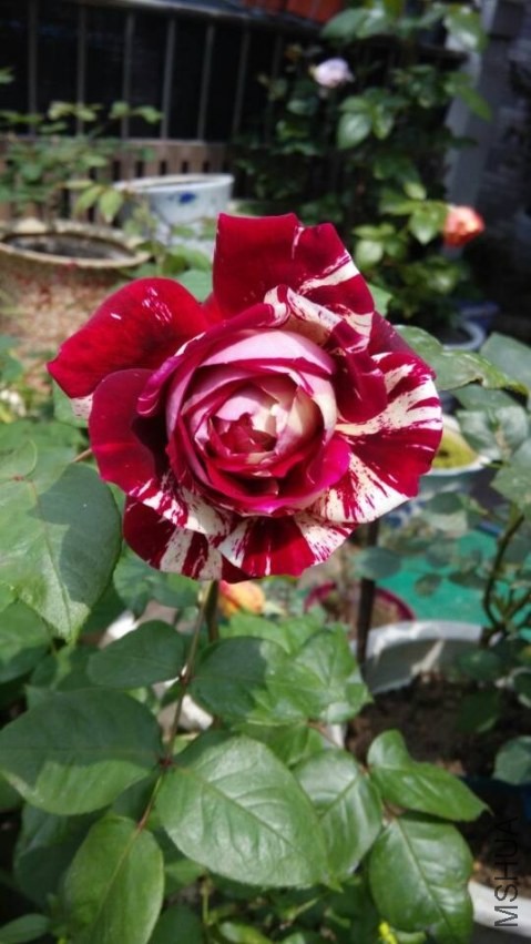 QQͼƬ20140424110849.jpg