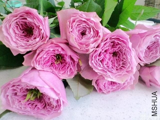 T2kR6qXktXXXXXXXXX_!!160208993.jpg