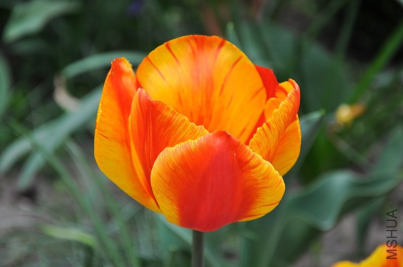 DSC_0555.jpg