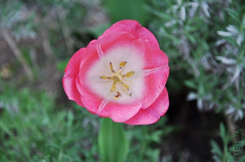 DSC_0564.jpg