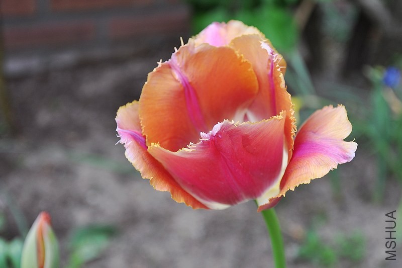 DSC_0565.jpg