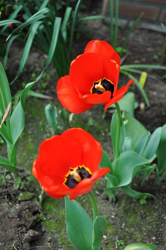 DSC_0612.jpg