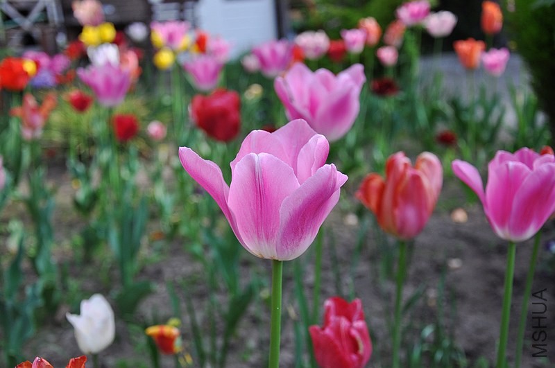 DSC_0674.jpg