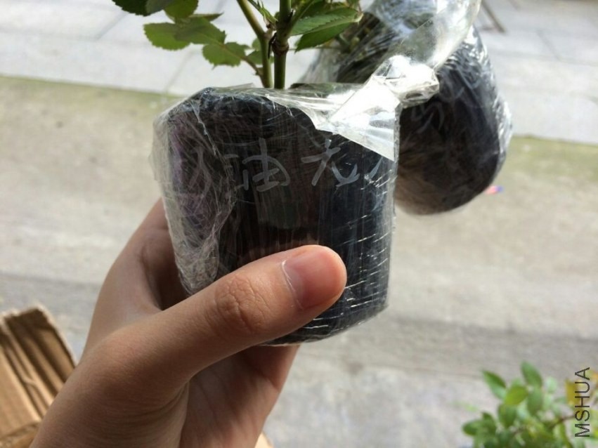 QQͼƬ20140424191324.jpg