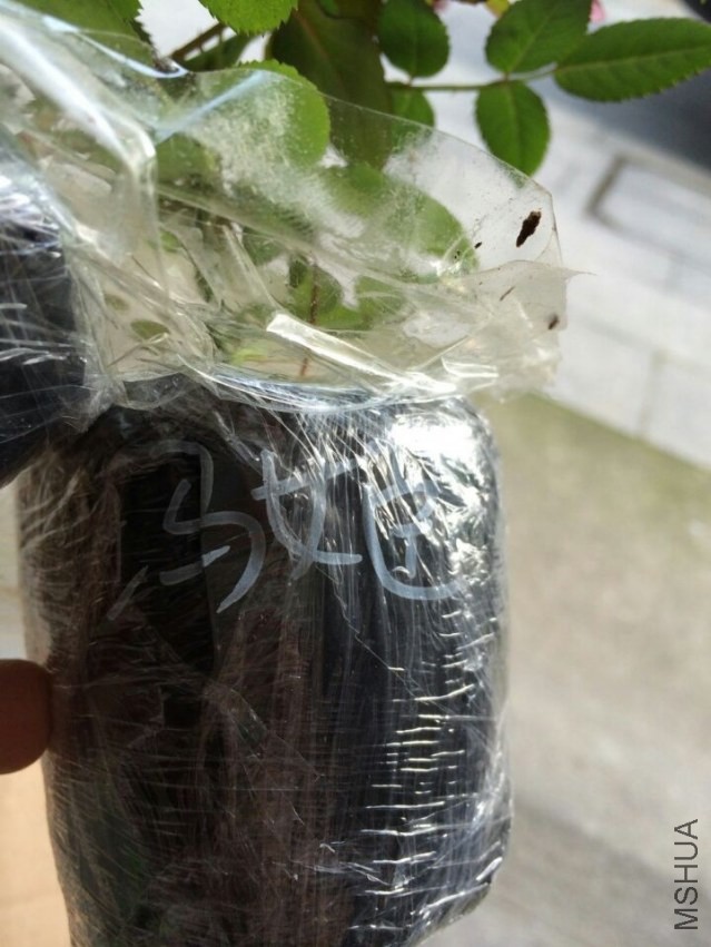 QQͼƬ20140424191337.jpg