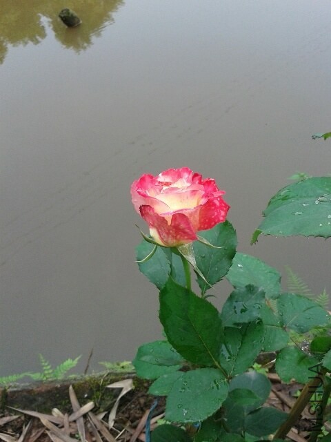 20140424_090343_resized.jpg