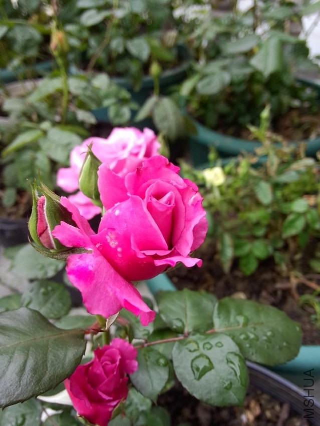 IMG20140420094358.jpg