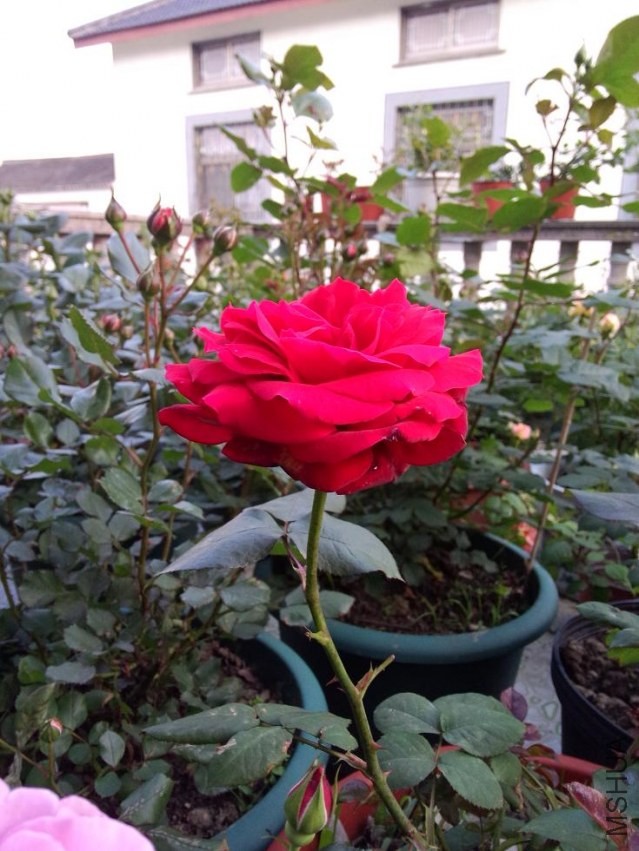 IMG20140423180641.jpg
