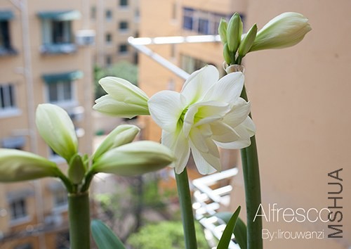 00IMG_3375.jpg