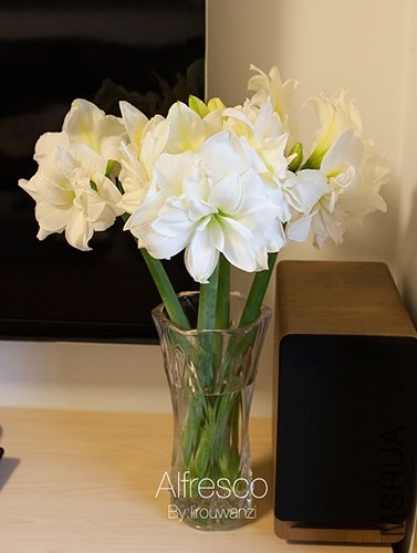 00IMG_3393.jpg